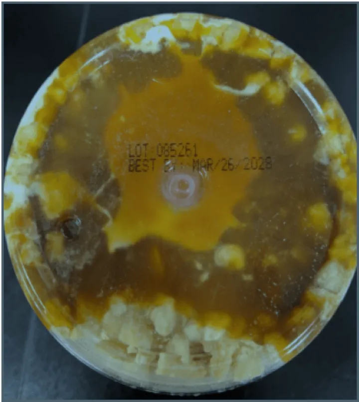 Gelatelli