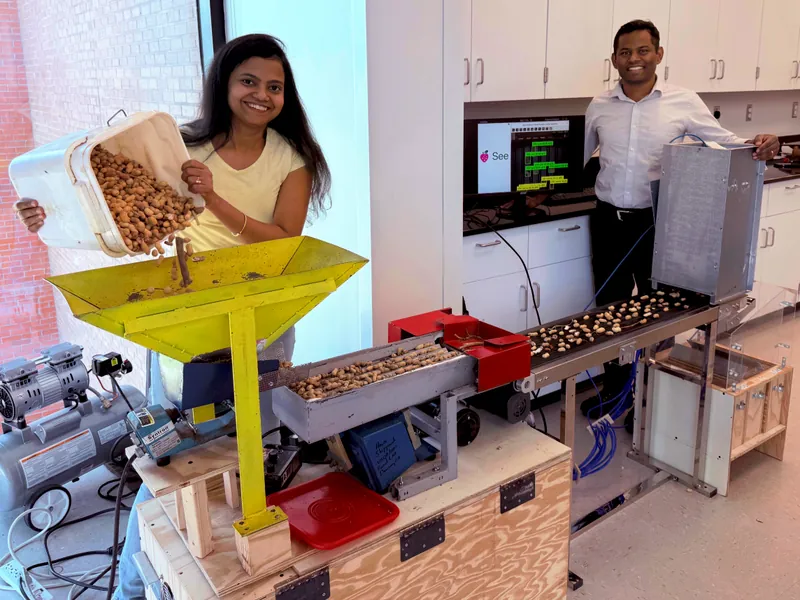 WAGS, the Wiregrass AI Peanut Sorter & Grader: peanuts poured into the hopper travel along the belt, and the screen behind shows the AI marking each piece