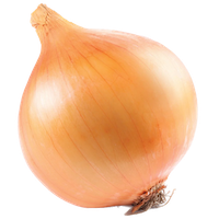 Onion