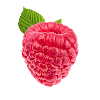 Raspberry